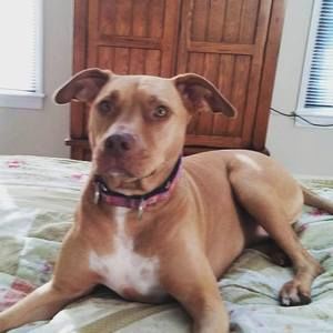 Meet your Posher, Lilly